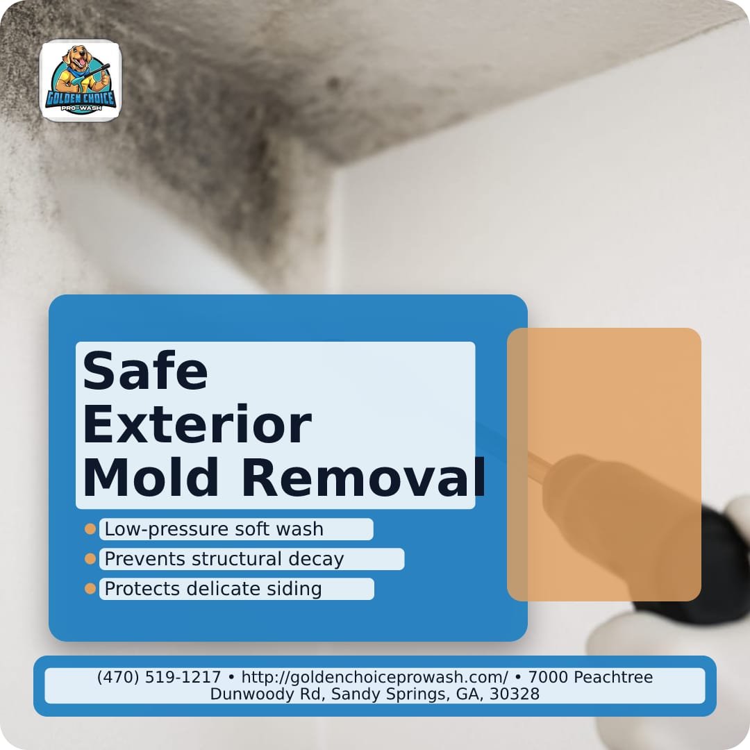 Illustration for The Hidden Moisture Sources: What to Inspect Before Removing Mold from Exterior Surfaces