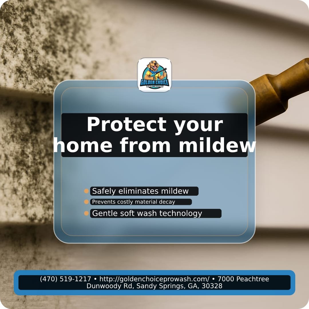 Illustration for The Silent Decay: How Hidden Exterior Mildew Damages Your Home’s Structural Integrity